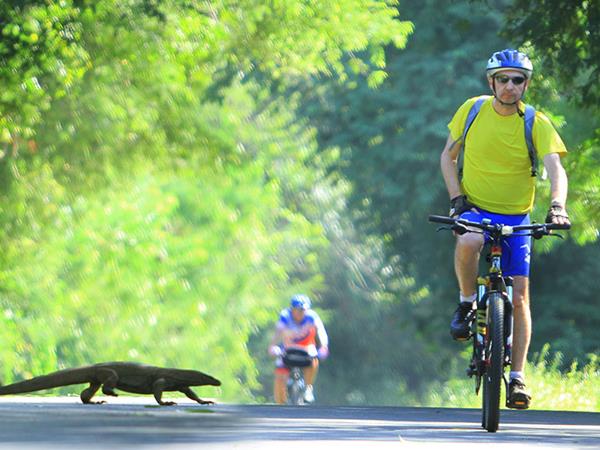 Cycle the Wonders of Sri Lanka 9